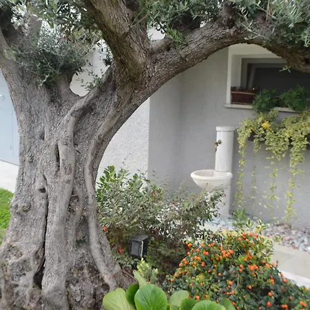 Ca' Olivo Holiday home