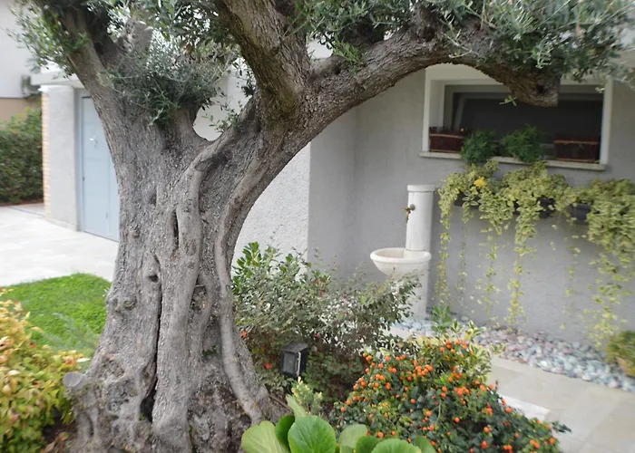 Ca' Olivo بيت للعطل